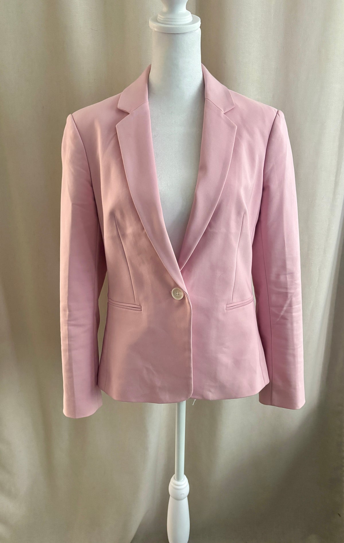 Express Pink Suit — Blazer & Columnist Ankle Pants | 8