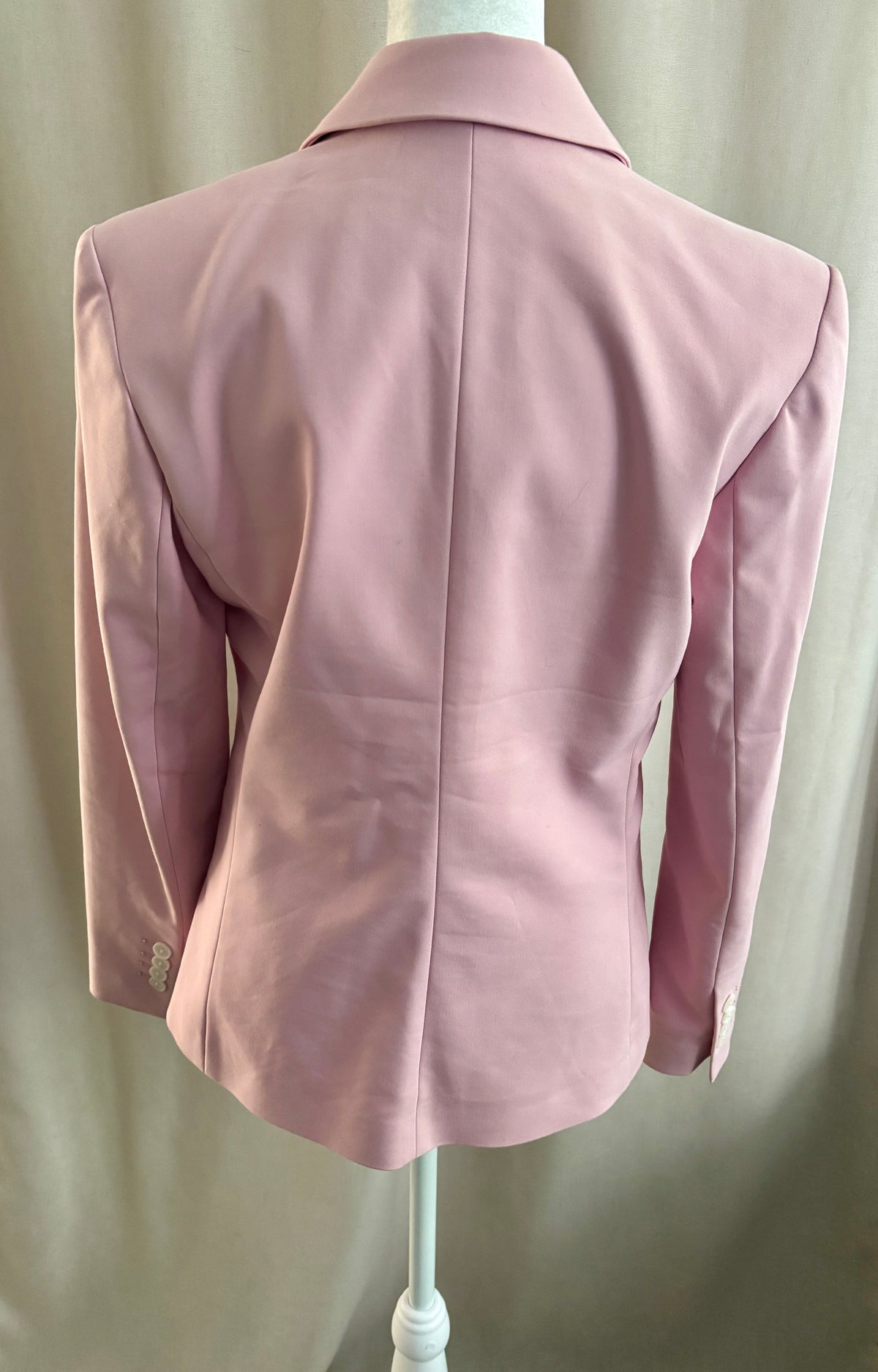 Express Pink Suit — Blazer & Columnist Ankle Pants | 8