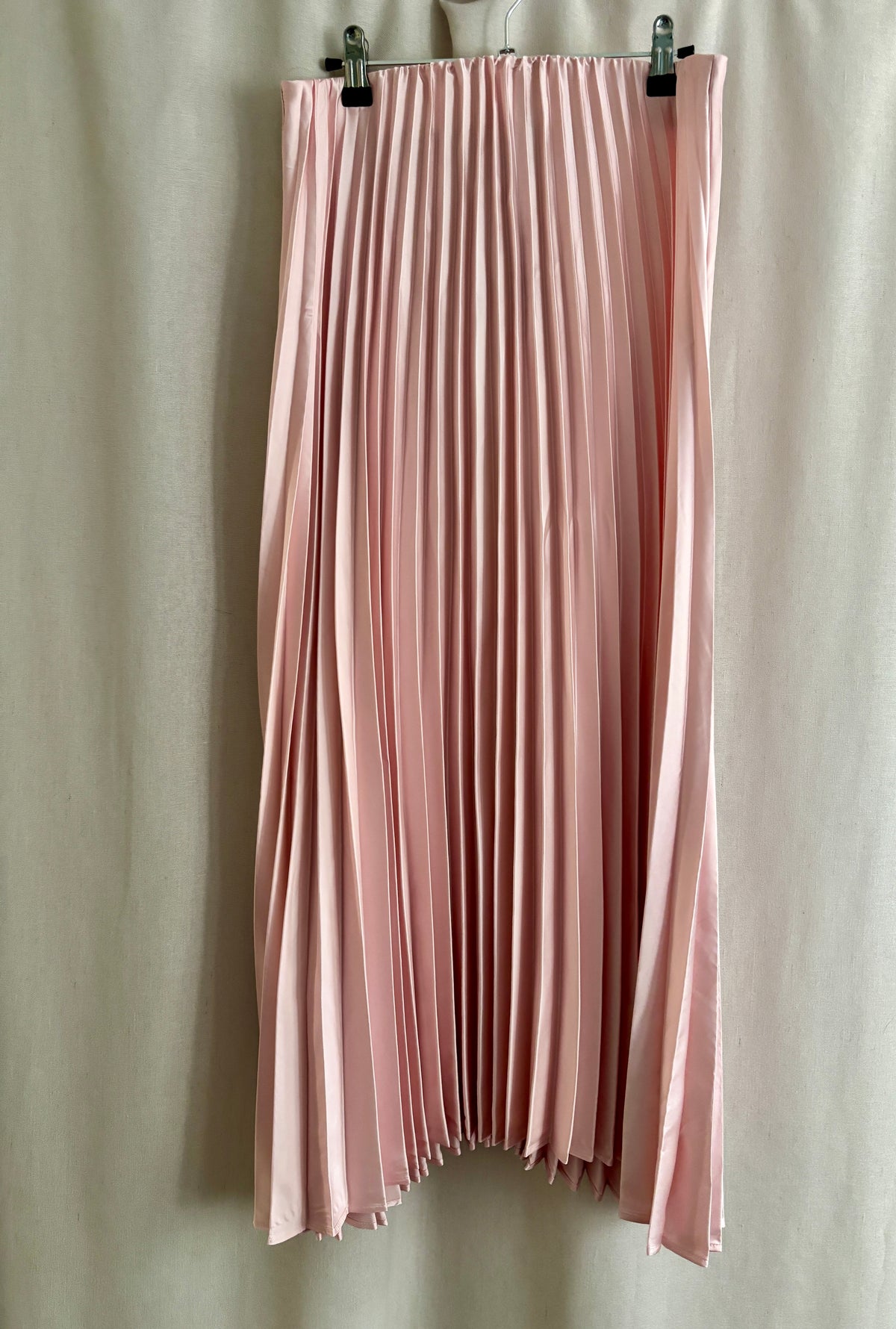 Dynamite Laure Pleated Maxi Skirt — Light Pink | M