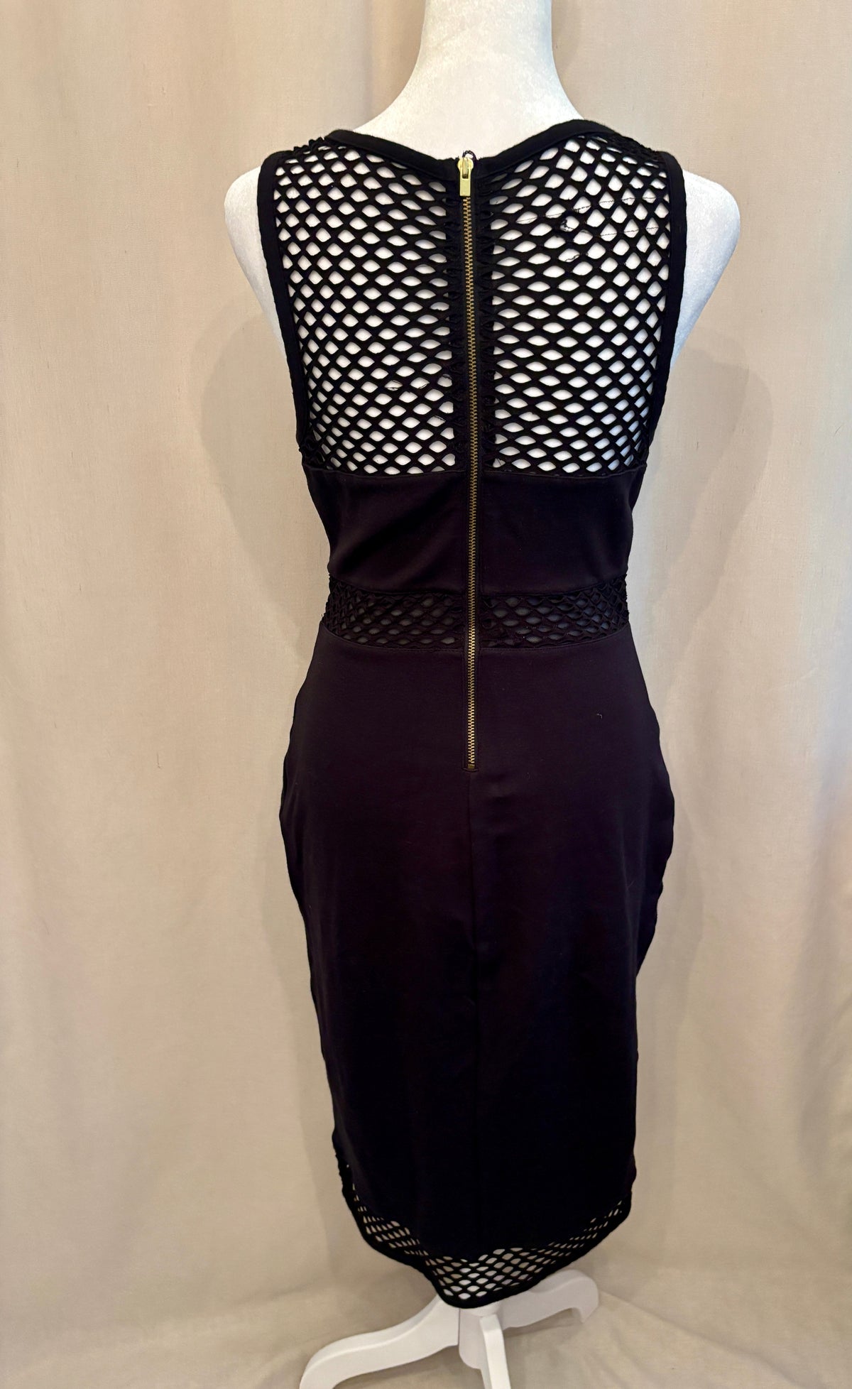 Express Mesh Cut-Out Midi Dress — Size 4