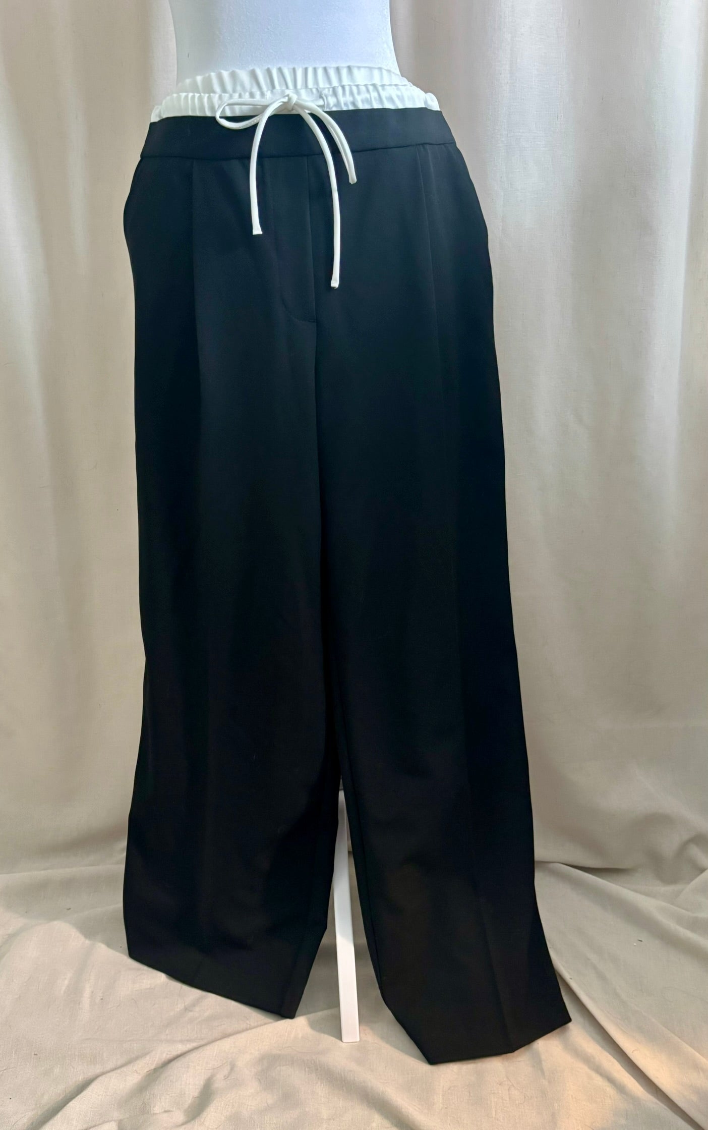 NWT Zara Double Waist Wide Leg Pants | Size M